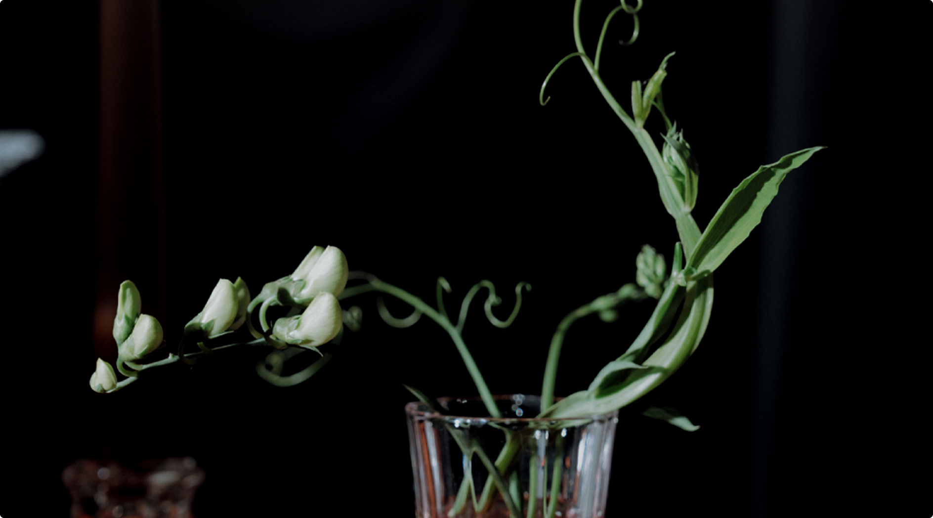 Sweet pea nitrogen-fixing sustainability – Blooming Haus quote backdrop