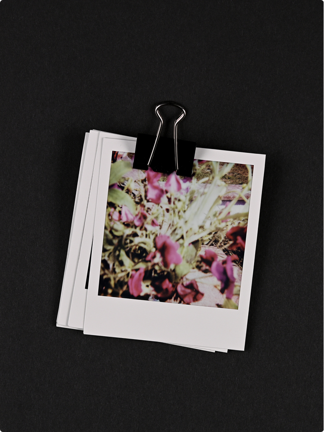 Sweet pea arrangement in soft pastels – Blooming Haus editorial styling