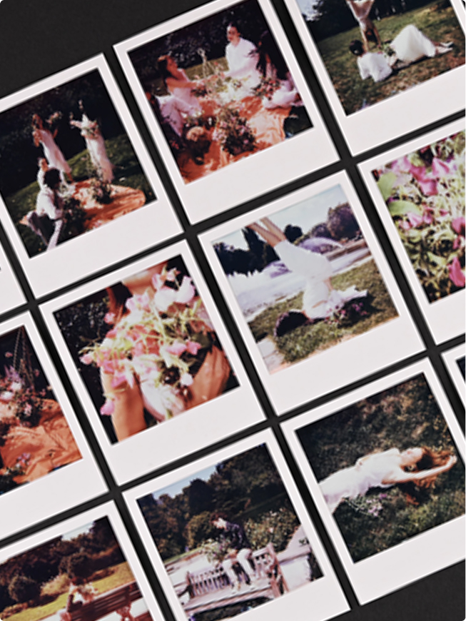 Heritage sweet pea varieties in jewel-toned purple and maroon