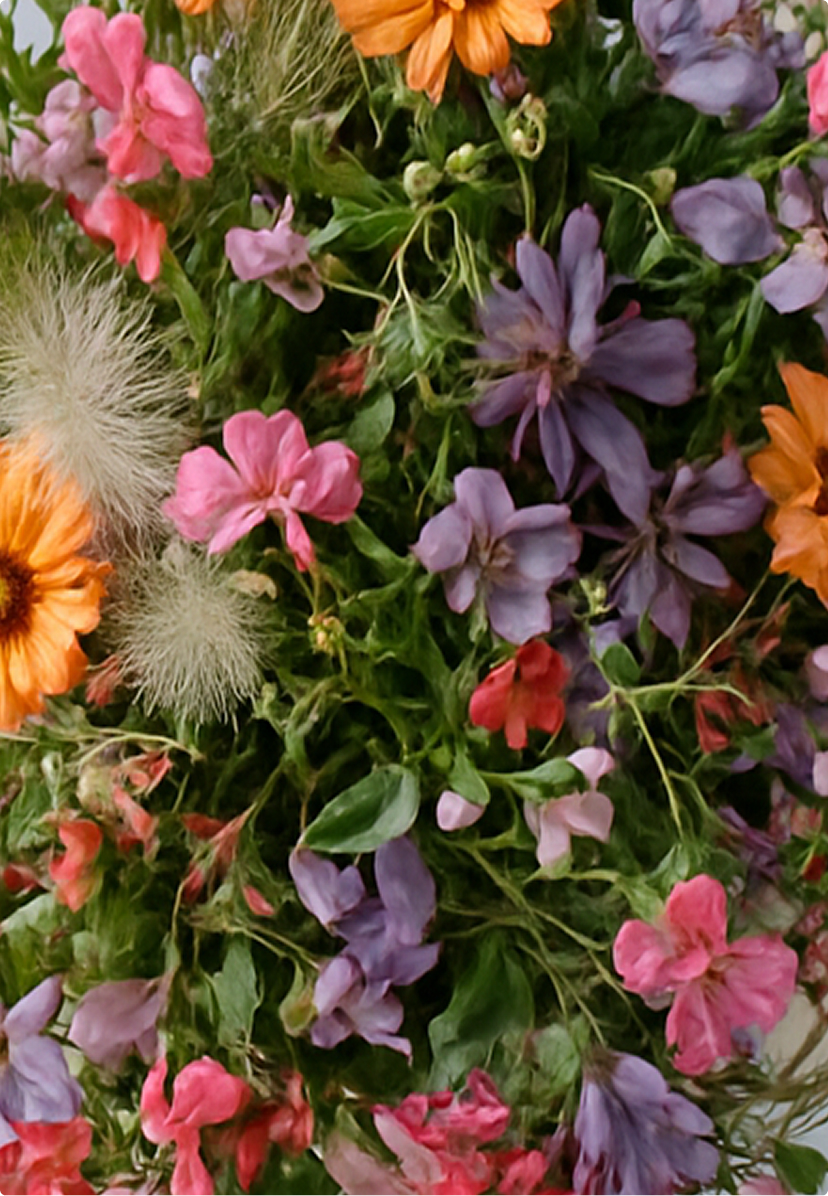 Blooming Haus newsletter – sweet pea seasonal updates and styling secrets