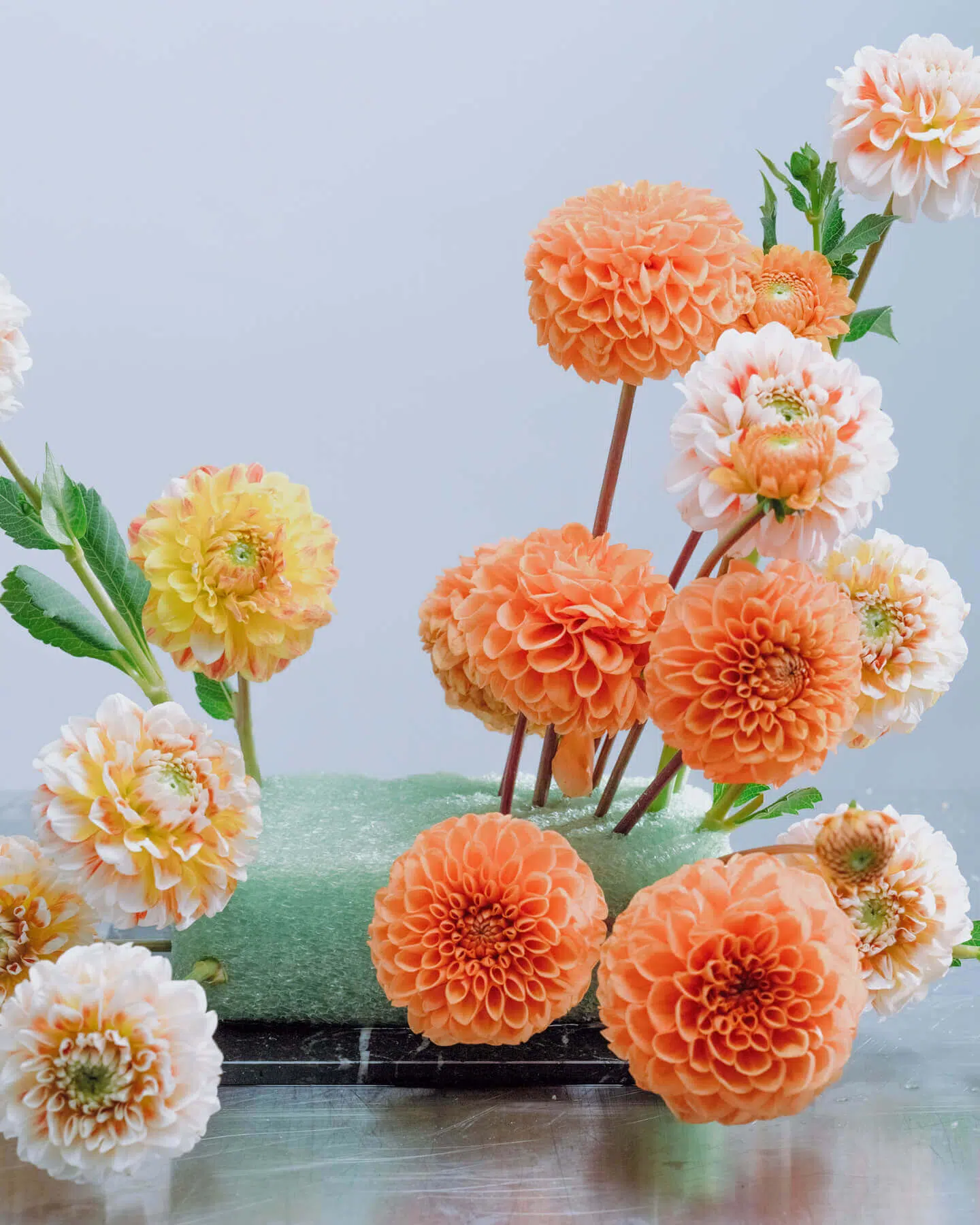 A floral arrangement featuring orange and yellow dahlias in a green floral foam block, surrounded by green leaves against a soft blue background