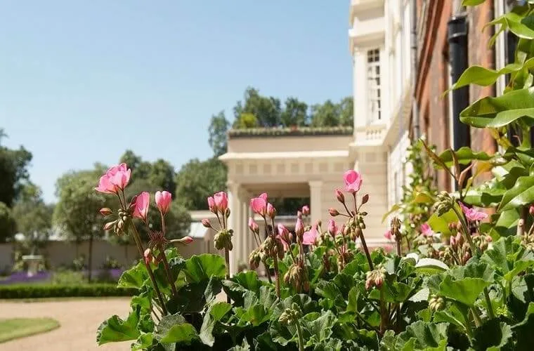 11 best uk royal gardens to explore in 2025 1 Clarence house royal gardens