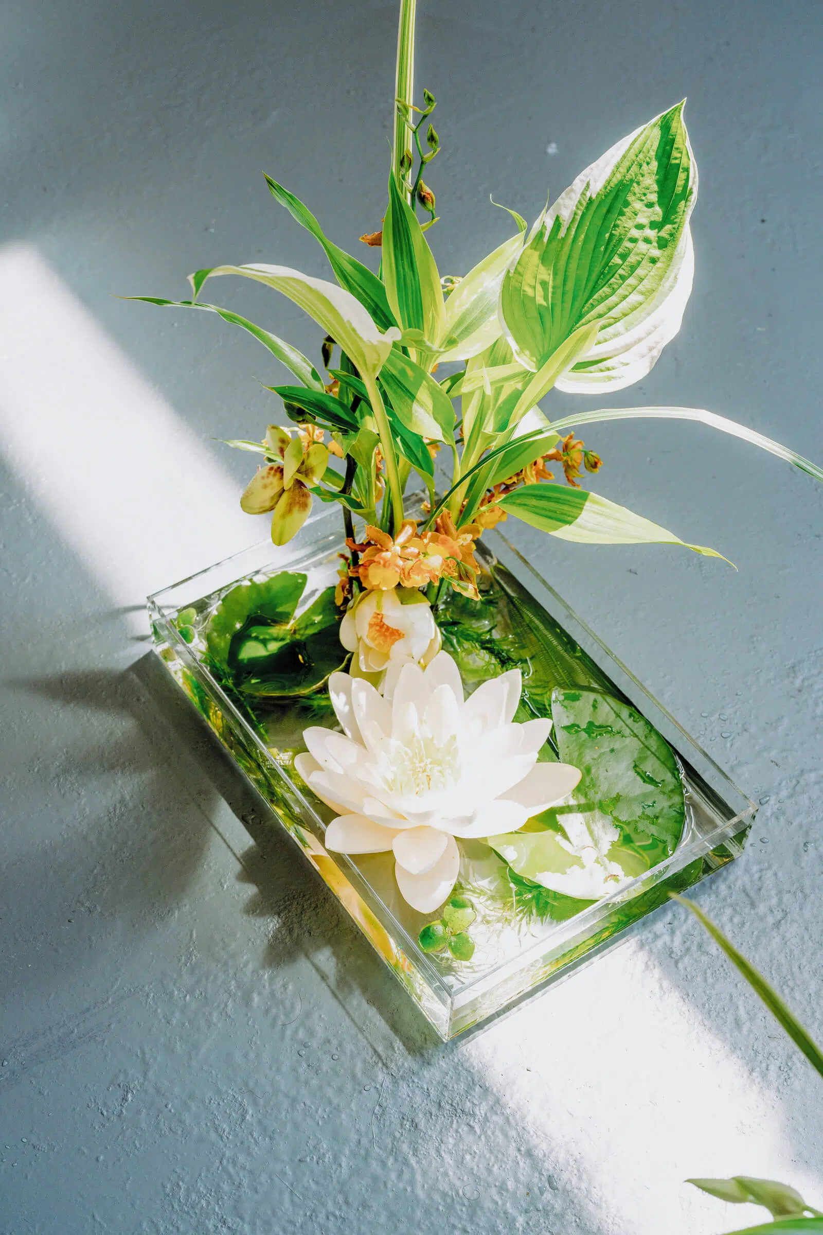 Blooming haus event flowers: the london edition 1 Blooming haus - pangaia official arrangements-5