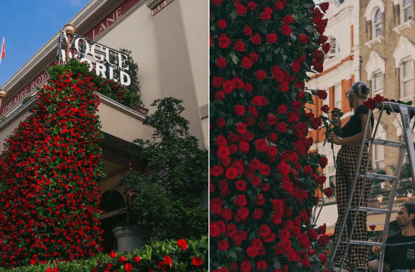 Blooming Haus: A Vibrant Recap of Our Top 12 Floral Moments in 2023