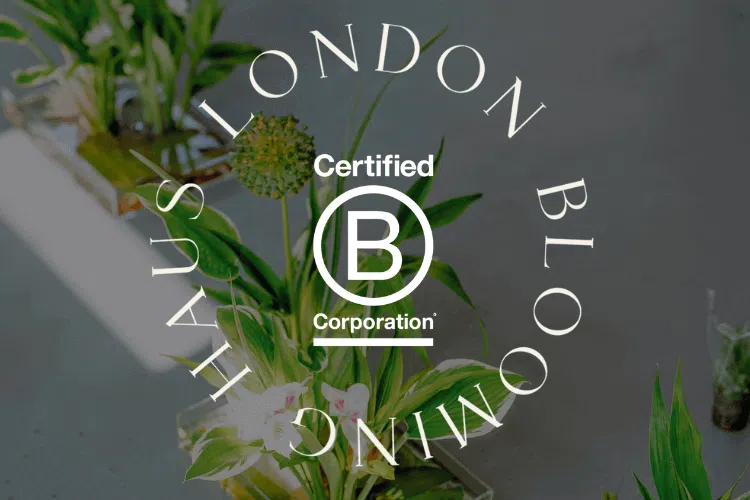 Blooming Haus – Europe’s First B Corp-Certified Event Florist