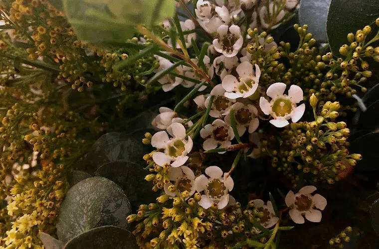 Revealed: the british royal family's favourite flowers 15 Royal family's favourite flowers