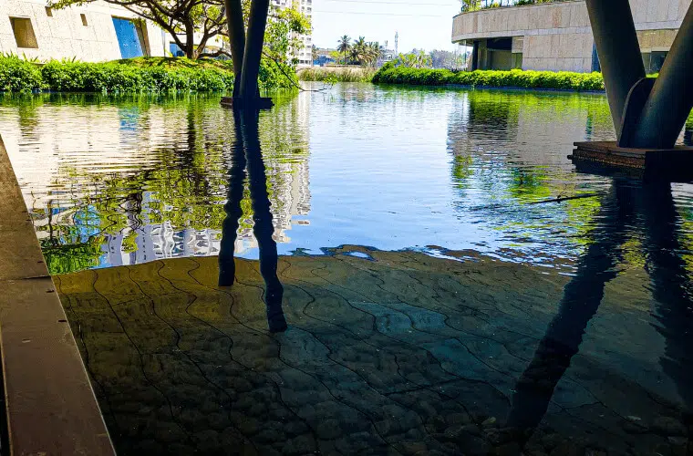 Biophilic design