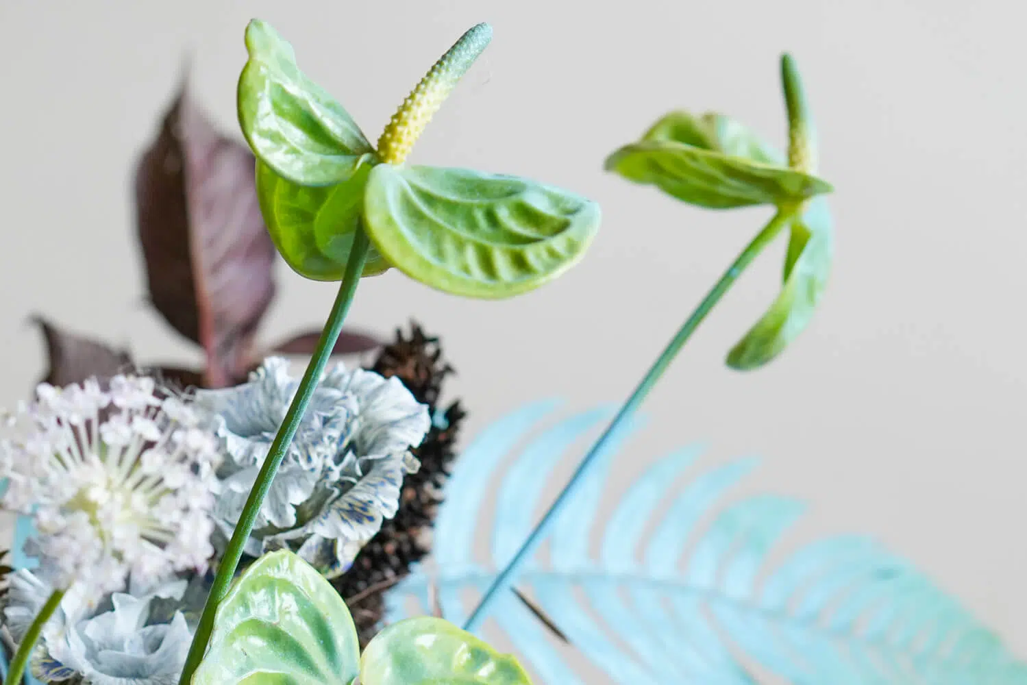 Anthuriums