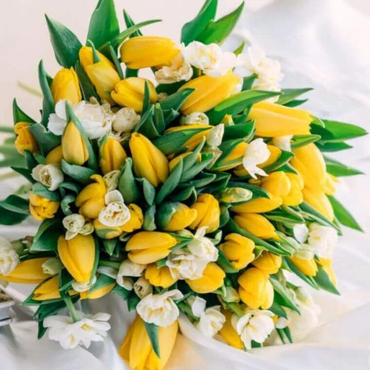 Tulips are seasonal wedding flowers for a spring bouquet