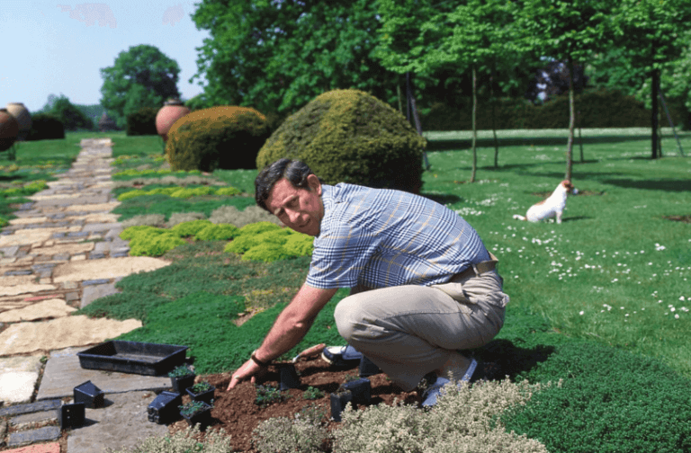10 Reasons King Charles III Is Our Most Green-Fingered Monarch to Date