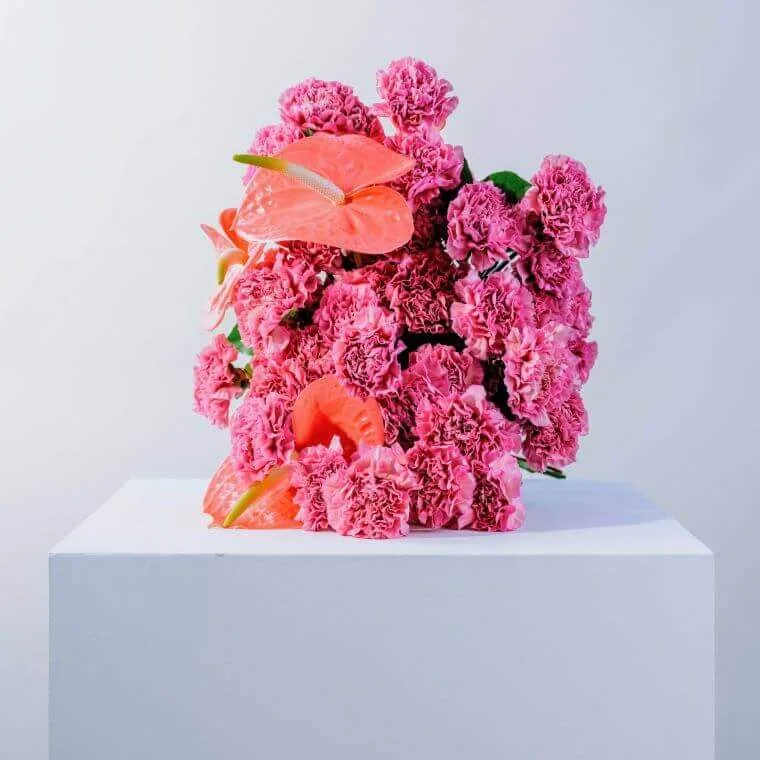 The pink carmine bouquet by blooming haus