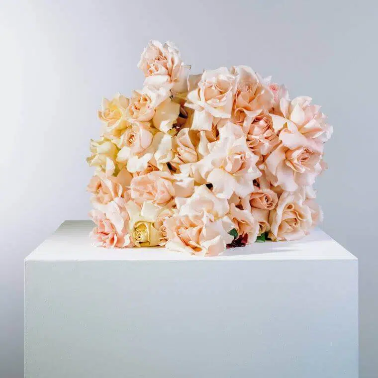 Sandstone rose bouquet from blooming haus