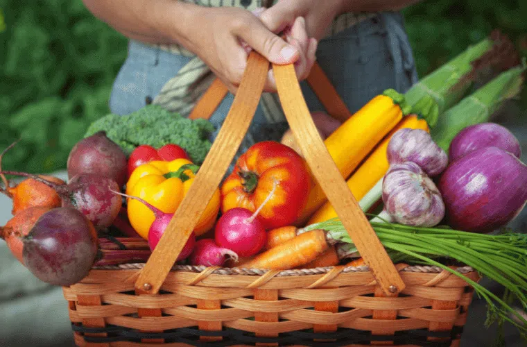 A basket filled with organic fruit and vegetables