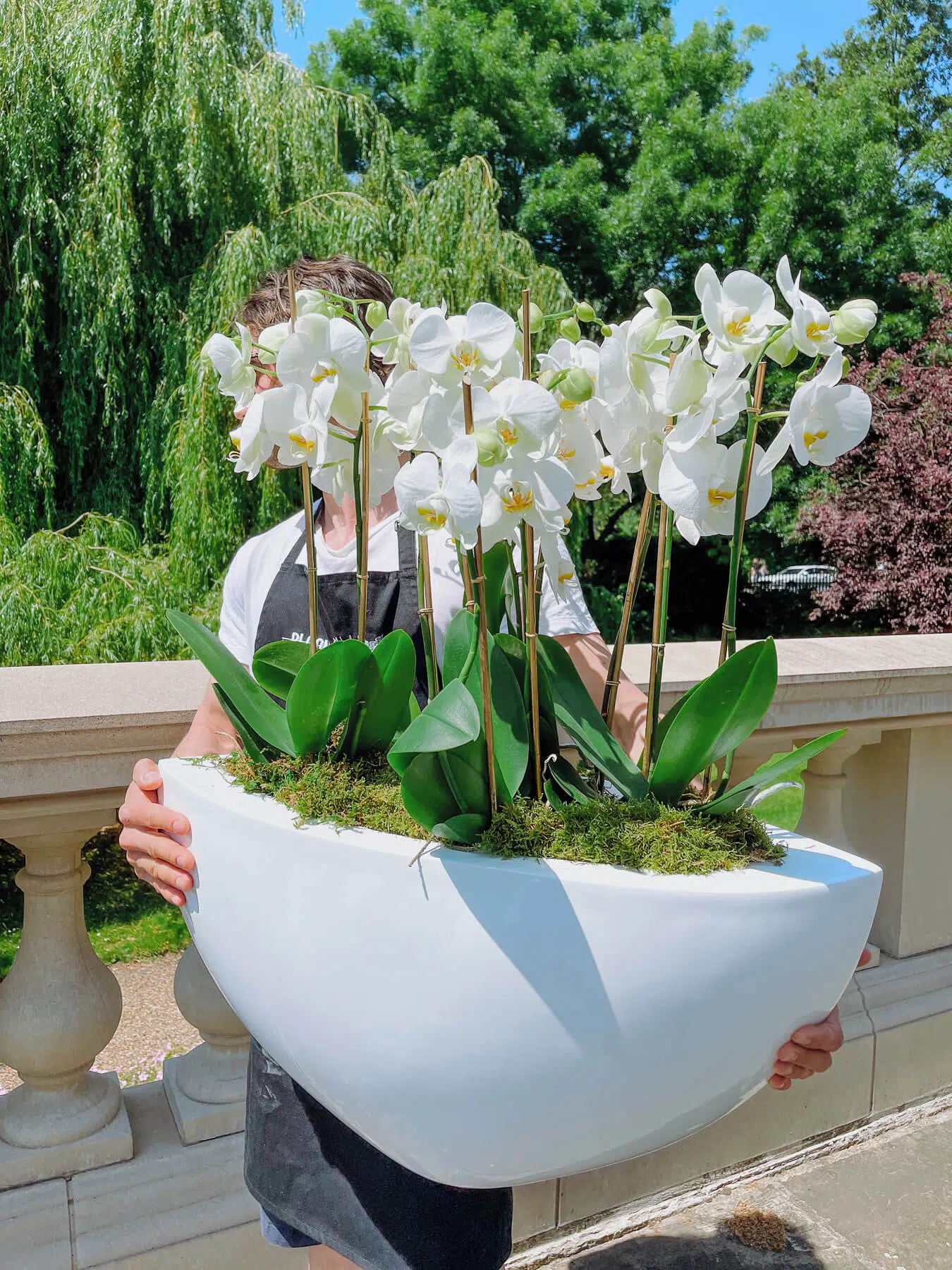Large orchid arrangement by blooming haus london florists