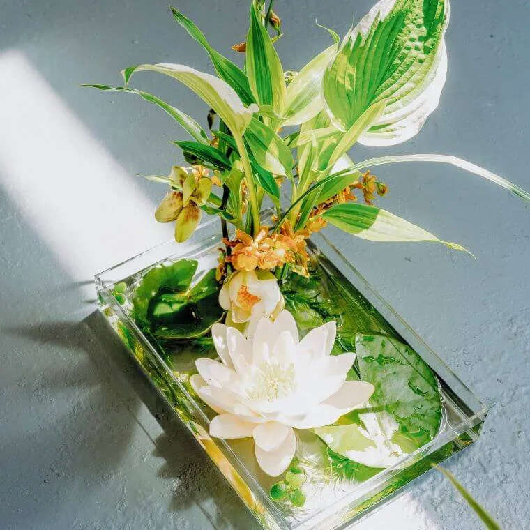 Table setting containing a white water lily