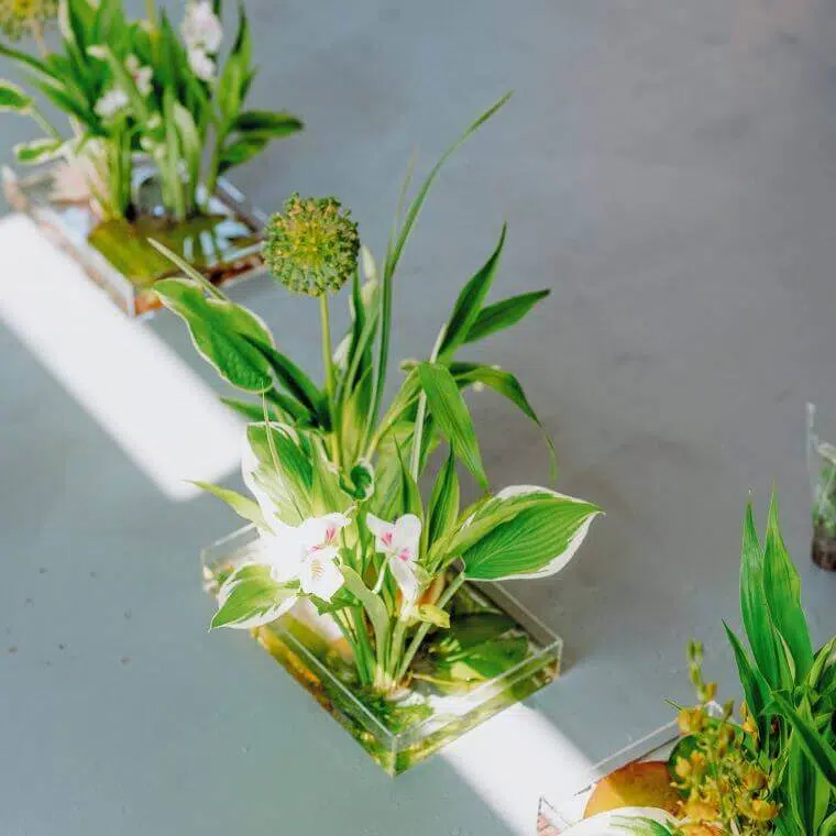 Three delicate floral centrepieces consisting of white flowers and green foliage in water