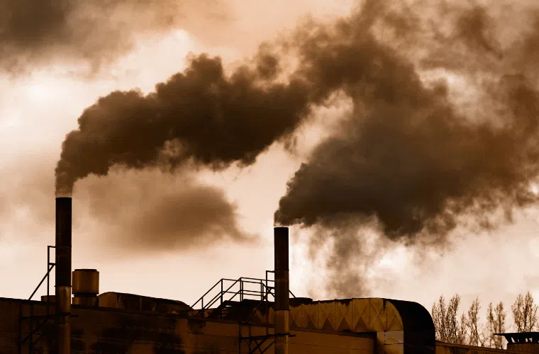 An insightful guide to flower fashion & its evolution through the ages 24 Smoking chimneys representing the industrial revolution