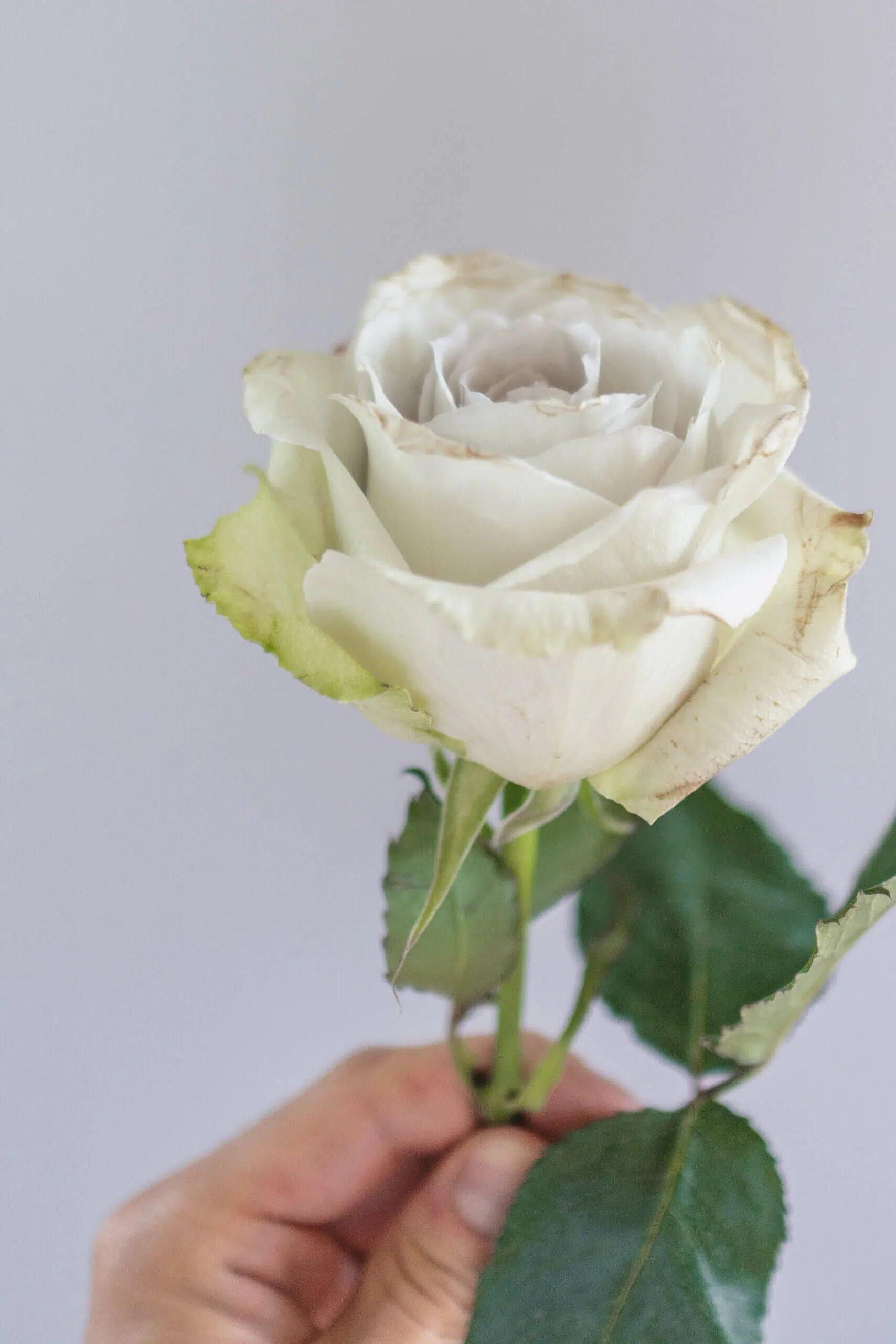 Flower symbolism