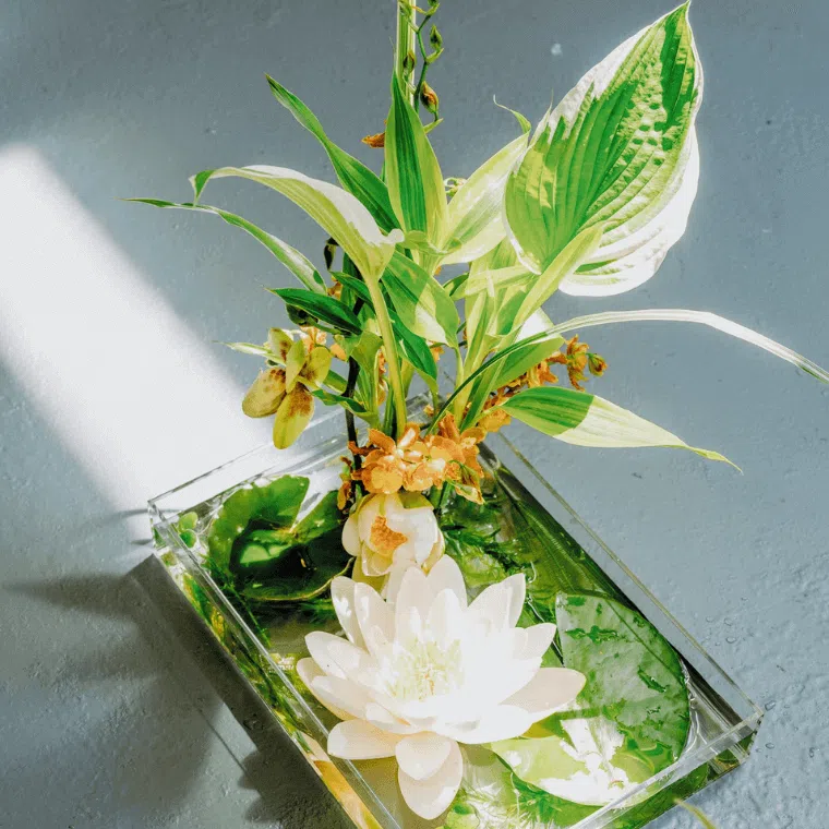 A lotus bloom in a glass container with water and green foliage