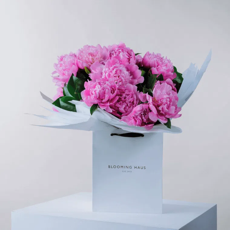 Dark pink peonies in a bouquet in a blooming haus box