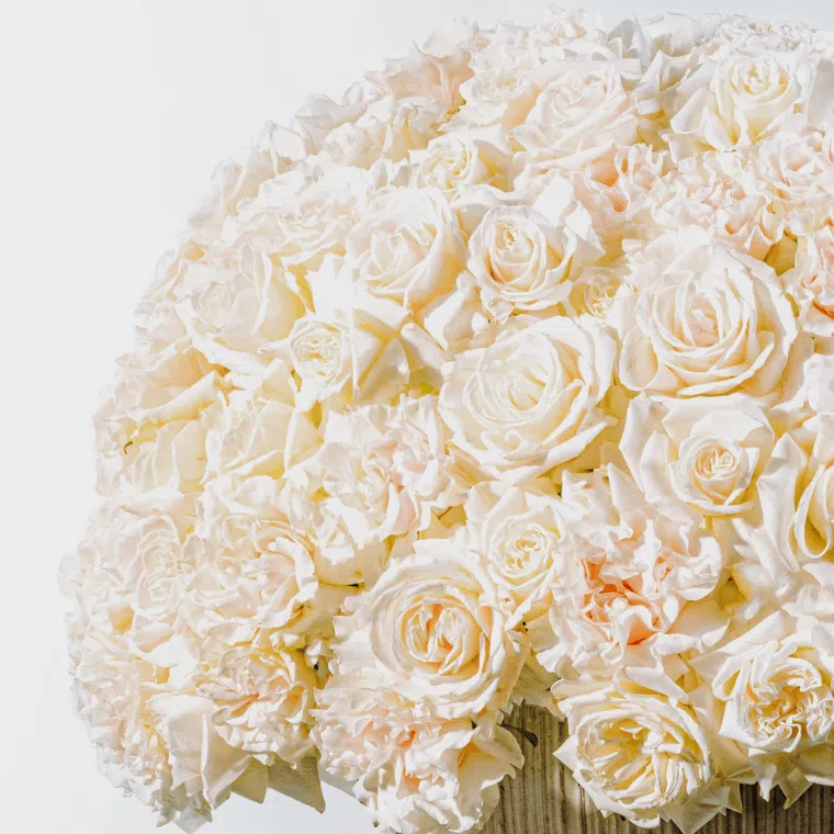 The left hand side of a bouquet of 200 white roses