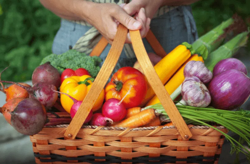 Hands holding a basket of fruit and veg from an organic garden