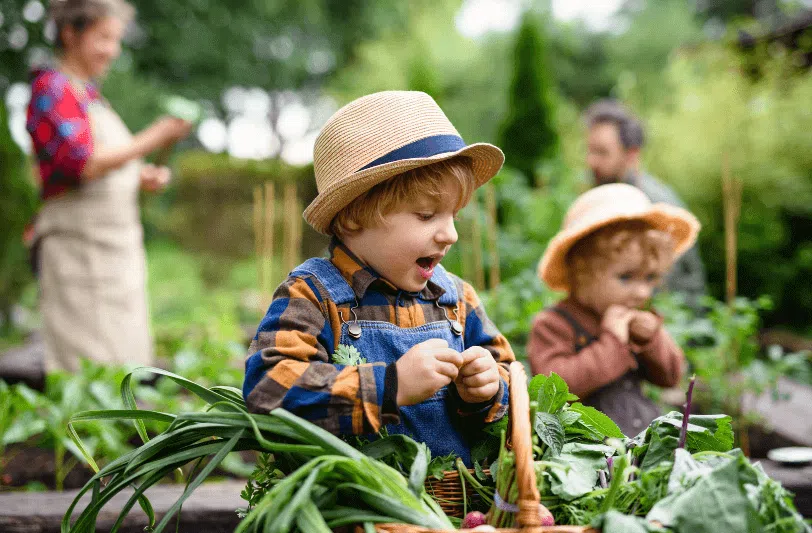 Two children and two adults working in an organic garden