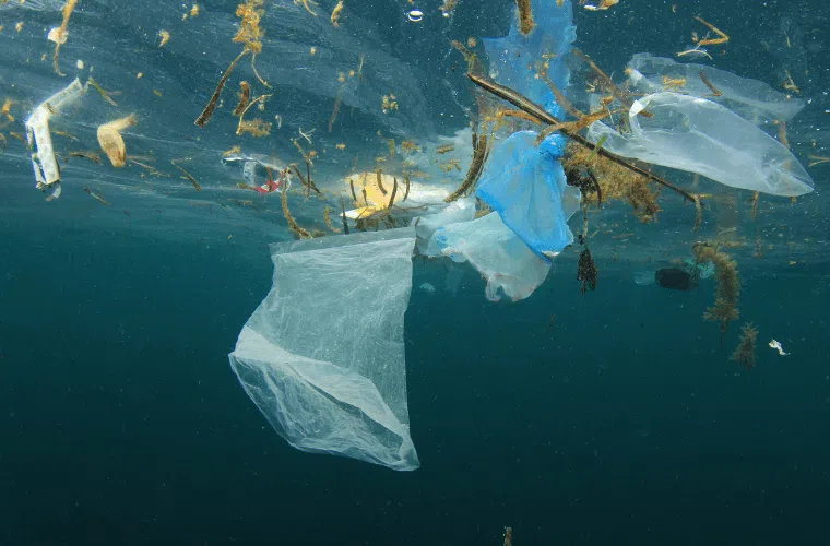 Plastic bags in the sea