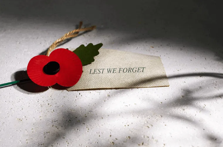 Poppies are a symbol of remembrance, sold to support ex-servicemen and women