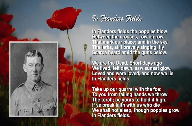 In flanders fields by john mccrae reflects the symbolism of the poppy