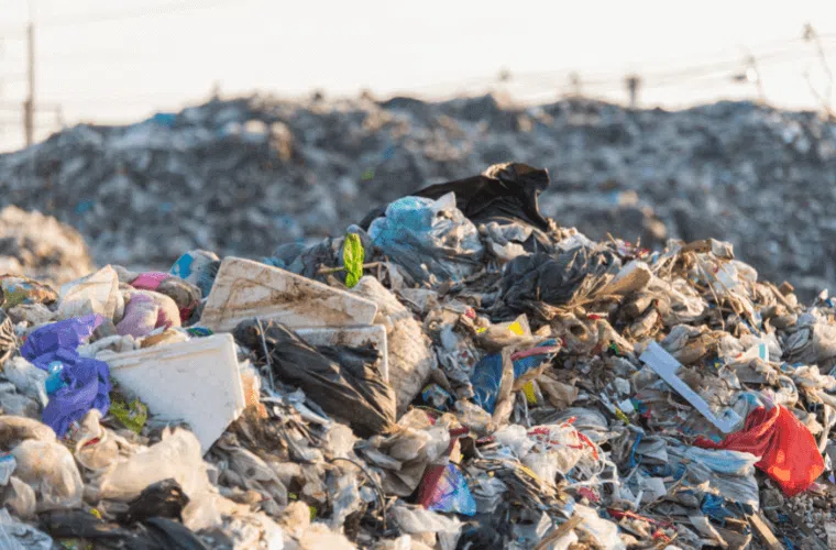 How can my business help fight climate change in 2025? 6 Rubbish in a landfill site