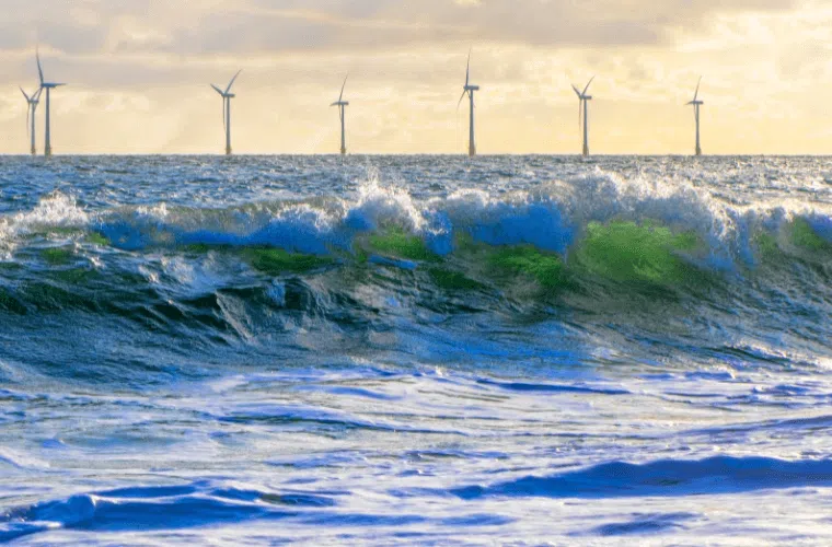 How can my business help fight climate change in 2025? 4 Waves with wind turbines in the background