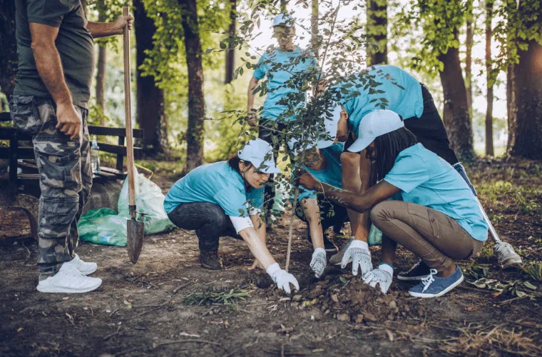 How can my business help fight climate change in 2025? 14 A group of five people planting a tree in a wood