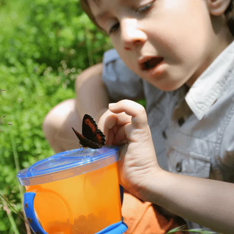 A young girl observing a butterfly that has landed on a container she is holding