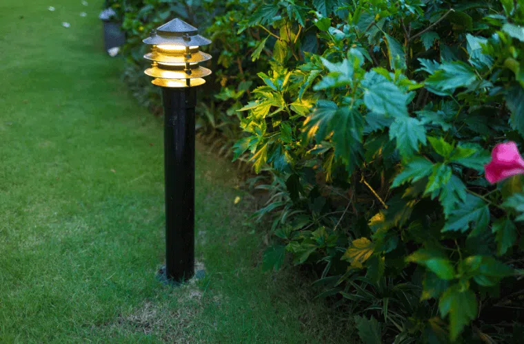 A garden path light beside plants at dusk