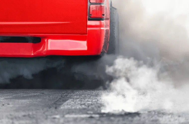 Vehicle exhaust fumes, one of the contributors to insect population decline