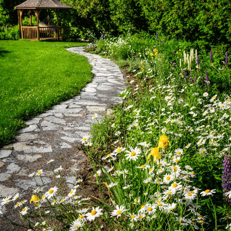 A wildflower garden with a path winding through colourful plantings