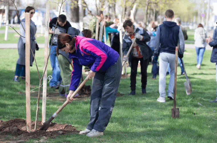 A large group of people planting trees