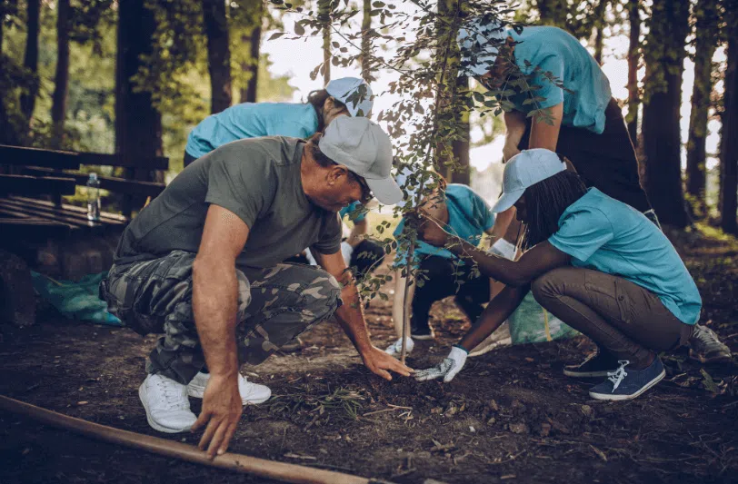 Can Planting Trees Really Help us Tackle Climate Change?