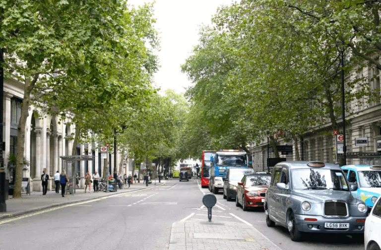 Do Trees Improve Air Quality in Urban Areas?
