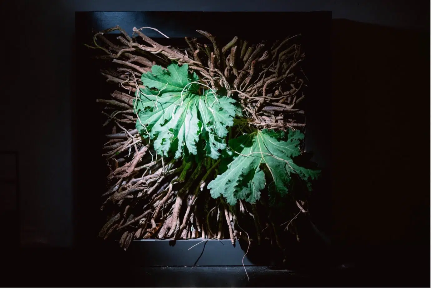 Master Florist Exhibition in Innsbruck, Austria