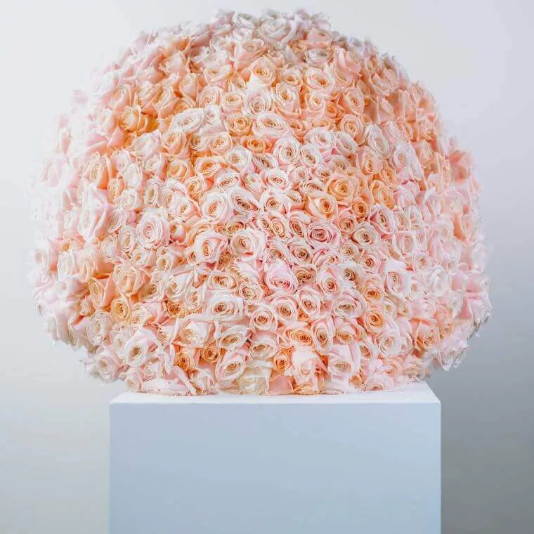 Valentine's day bouquet of 500 pink roses