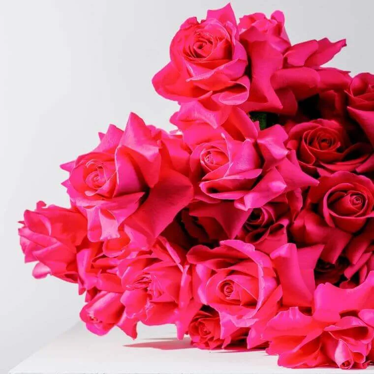 A bouquet of ruby red roses
