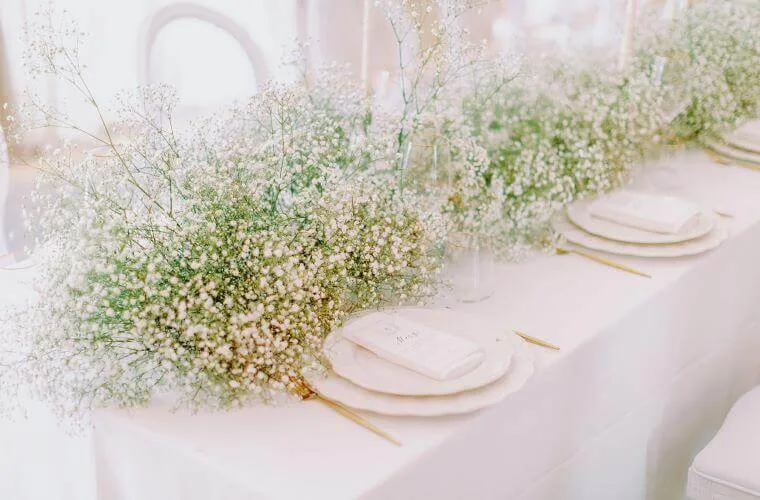 Gypsophila decorating a table at a wedding