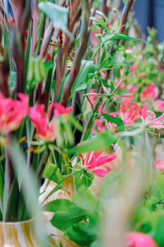 A vibrant arrangement of pink and yellow flowers with elongated green leaves, crafted by a London contract florist. The blossoms are surrounded by tall stems, creating a lush and colorful display against a softly blurred background that emphasizes the vivid colors in the foreground.