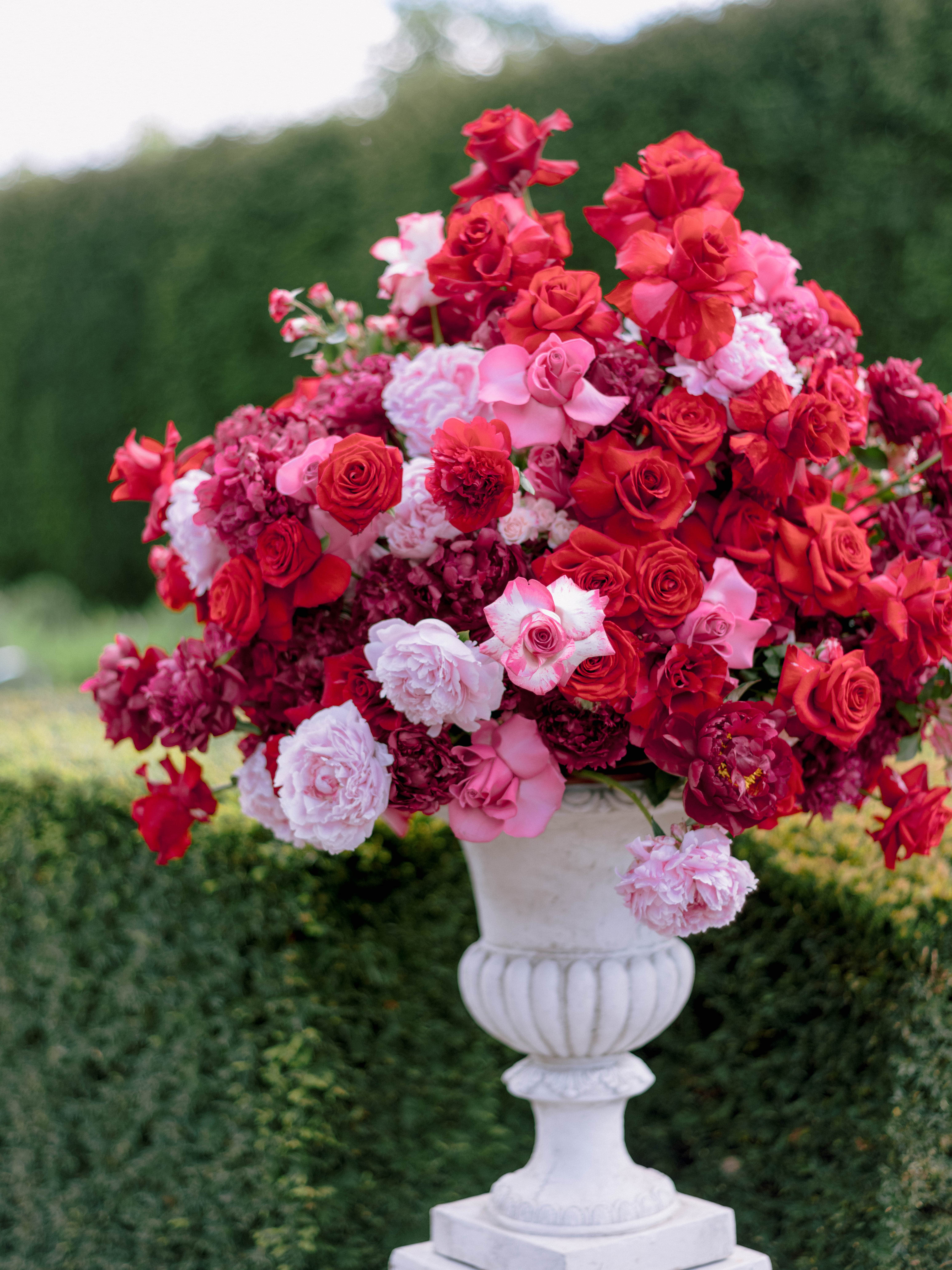 A white urn overflowing with an abundant arrangement of red, pink, and white flowers, including roses and hydrangeas, stands outdoors against a background of lush green hedges. The vibrant colors of the blossoms contrast beautifully with the greenery, creating a bridgerton-like vivid and lively display.