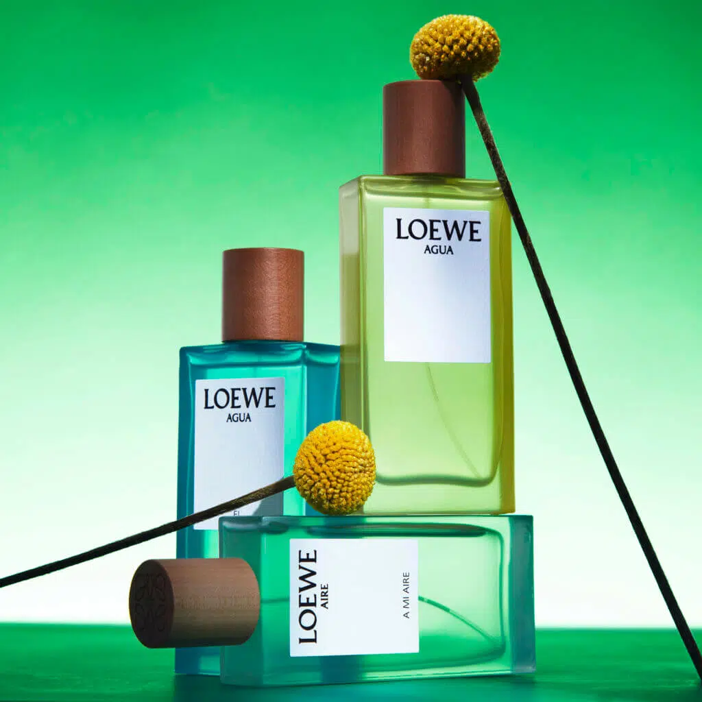 Loewe Perfume with Craspedias