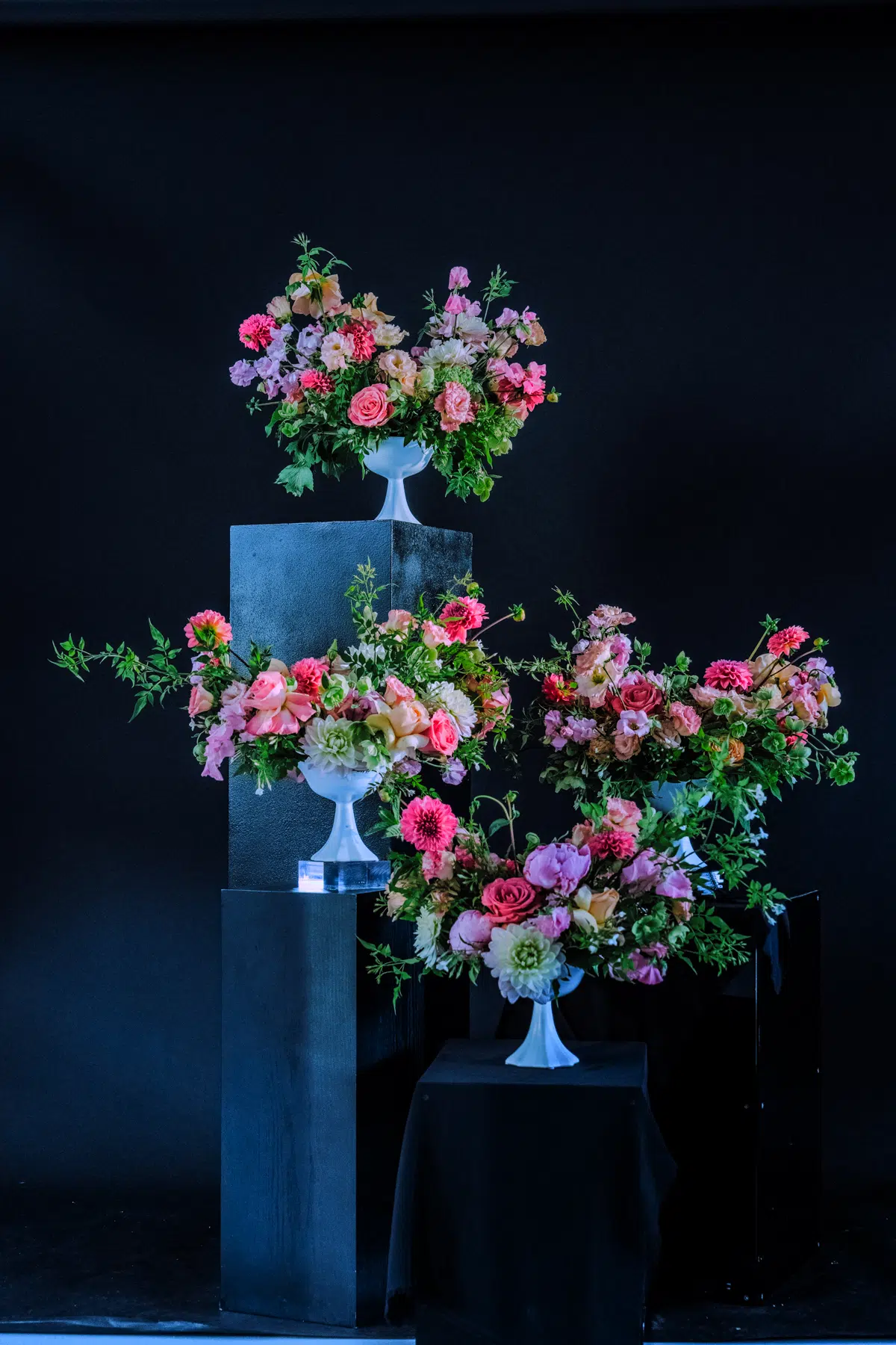 Sweet pea: blooming haus' flower of the year for 2026 19 Three white vases with vibrant pink, purple, and green sweet pea arrangements on black pedestals of varying heights against a dark background