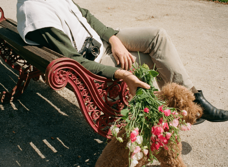 A person sitting on a red bench holding pink and white sweet pea flowers, with a camera around their neck and a fluffy brown dog beside them