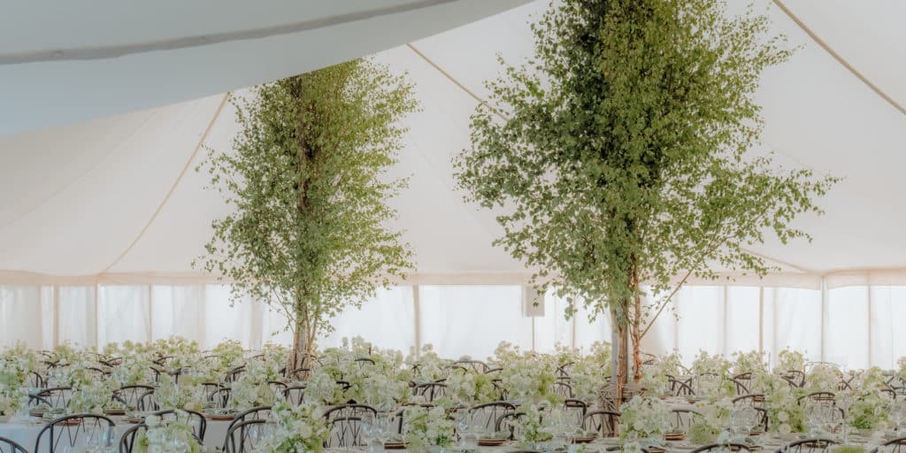 A white tent is set up for an event, with tall leafy trees placed inside among rows of tables. The tables are elegantly decorated by a luxury florist with white floral arrangements and glassware, creating a bright, airy, and sophisticated atmosphere.